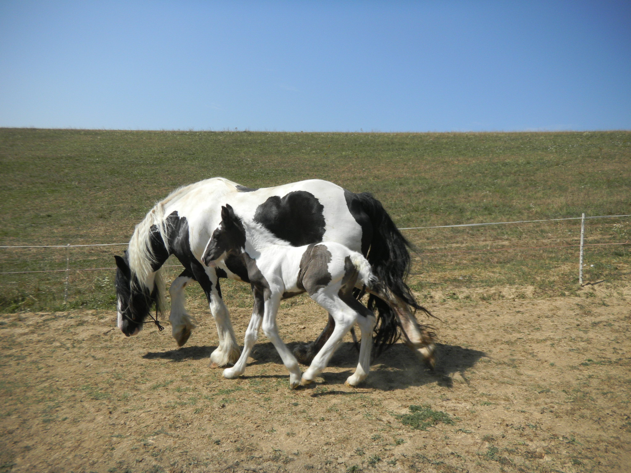 DSCN3753
